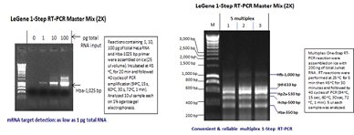 LeGene 1-Step RT-PCR Master Mix, w/wo Dye (2X)
