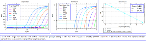 LeGene One-Step qRT-PCR Master Mix (2X), No ROX, Low ROX, ROX