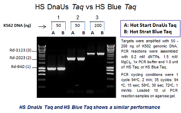 Hot Start Blue Taq DNA Polymerase
