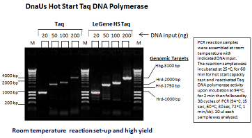 DnaUs Hot Start Taq DNA Polymerase Plus (up to 4 kb)