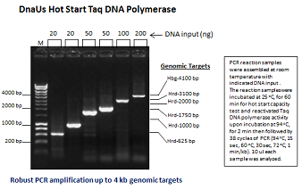 Glycerol-free DnaUs Hot Start Taq DNA Polymerase