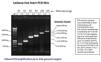 LeGene Hot Start PCR Mix (up to 4 kb)