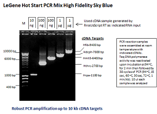 LeGene Hot Start PCR Mix High Fidelity Sky Blue (up to 12 kb)