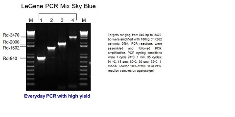 LeGene PCR Mix Sky Blue (up to 4 kb)