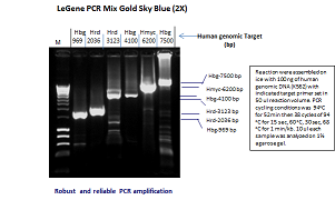 LeGene PCR Mix Gold Sky Blue (up to 8 kb)