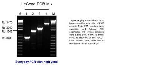 LeGene PCR Mix (up to 4 kb)