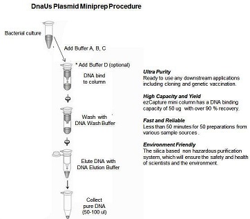 Plasmid Miniprep