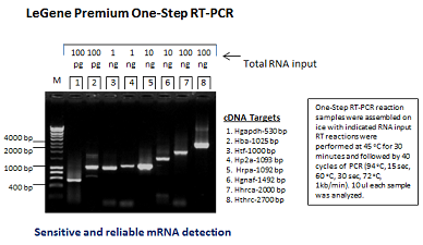 LeGene Premium One-Step RT-PCR