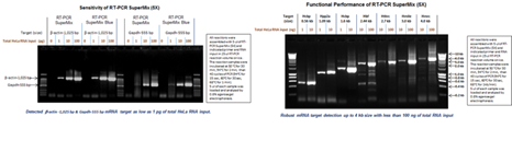 RT-PCR SuperMix w/wo Dye (5X)