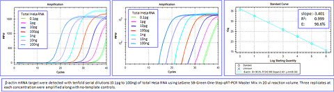 LeGene SB-Green One-Step qRT-PCR Master Mix (2X), No ROX, Low ROX, ROX