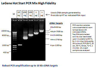 LeGene Hot Start PCR Mix High Fidelity (up to 12 kb)