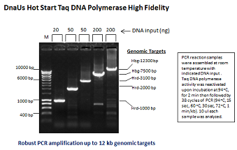 DnaUs Hot Start Taq DNA Polymerase High Fidelity Plus (up to 12 kb)