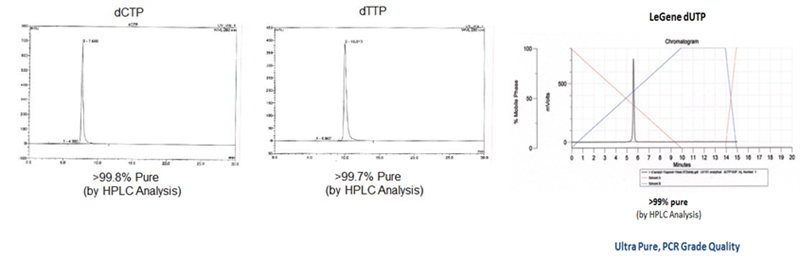 PCR Grade dNTPs